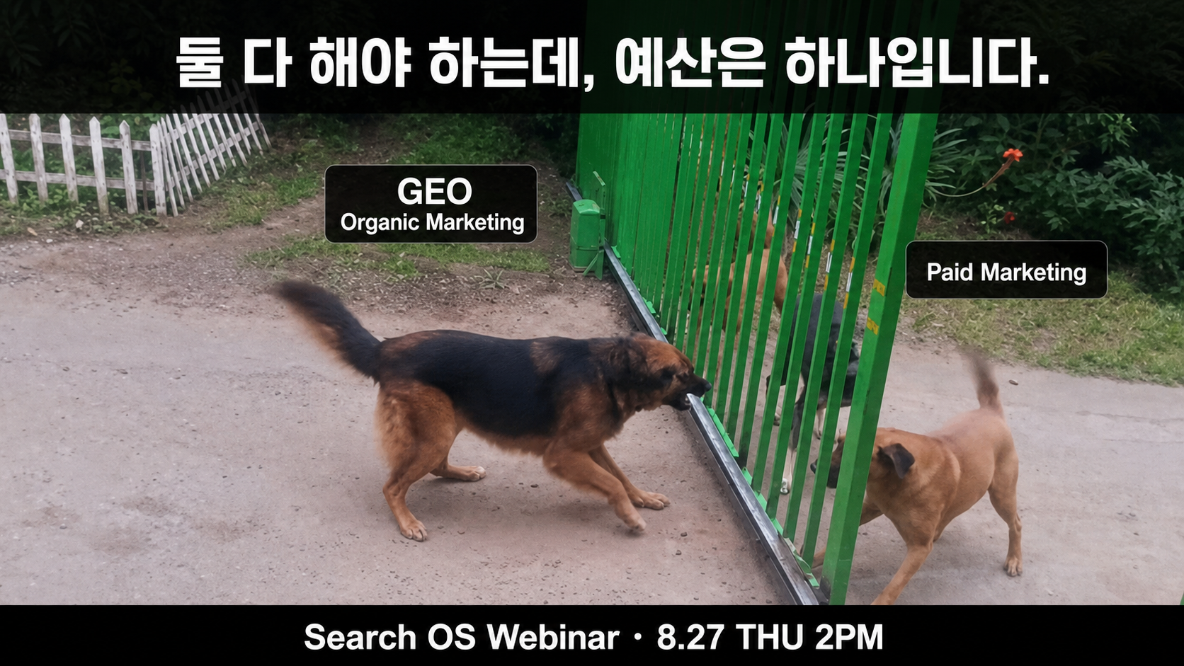 GEO와 Paid Marketing 사이에서 예산 우선순위를 정하는 웨비나 이미지