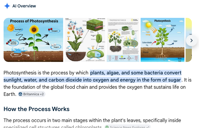 Google AI Overview for 'how does photosynthesis work'